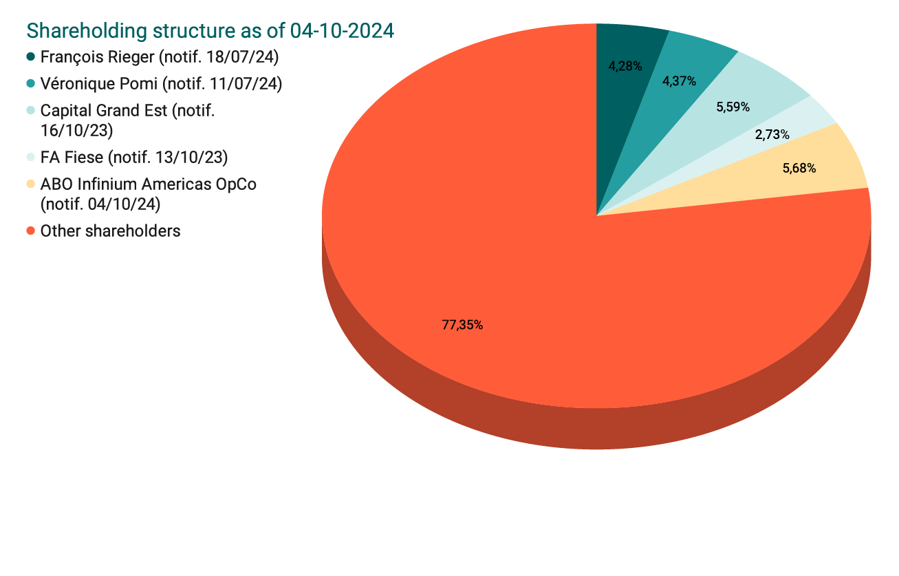 Shareholders structure